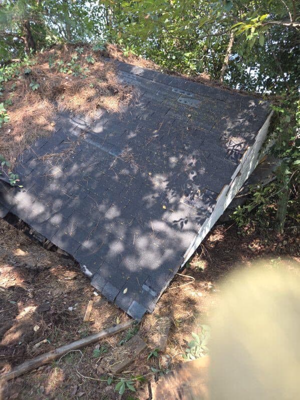 Shingled shed roof lowered flat onto the ground during a small structure teardown